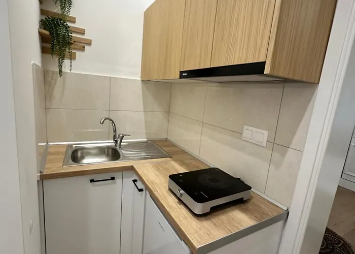 Casa Leonidas 公寓 *